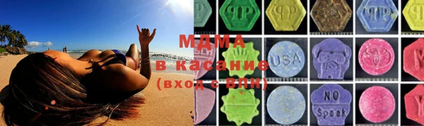 индика Абаза