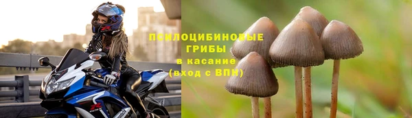 таблы Алзамай