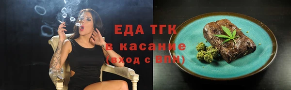 индика Абаза