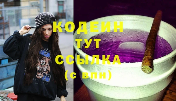 индика Абаза