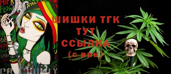 индика Абаза