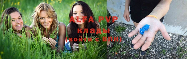 стафф Алексеевка
